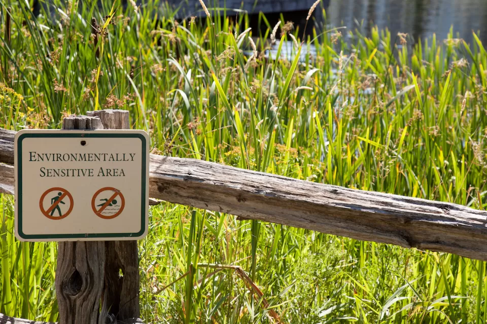 "Environmentall sensitive area" sign on rustic wooden fence with tall green grass in background.